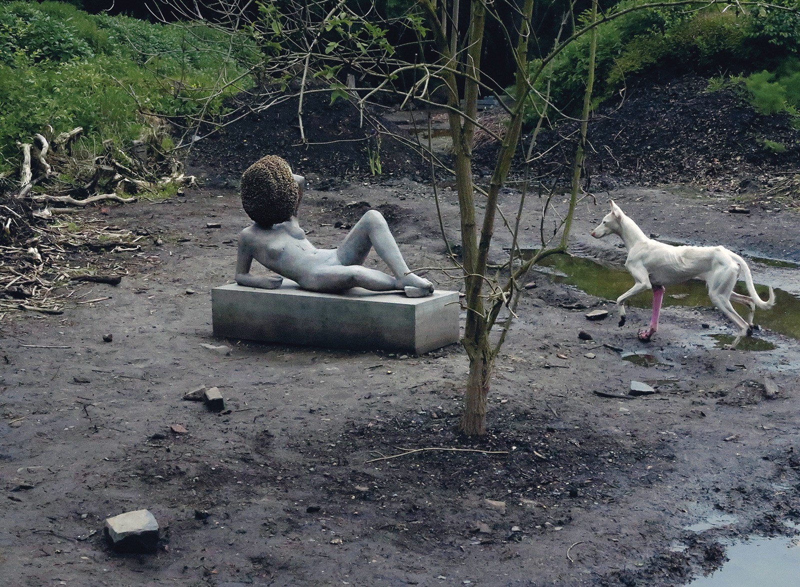 Pierre Huig. Uncone, 2011-2012 Image provided by the author, Mariam Goodman Gallery, New York; Esther Schipper, Berlin. Especially for dOCUMENTA (13). © Pierre Huyghe