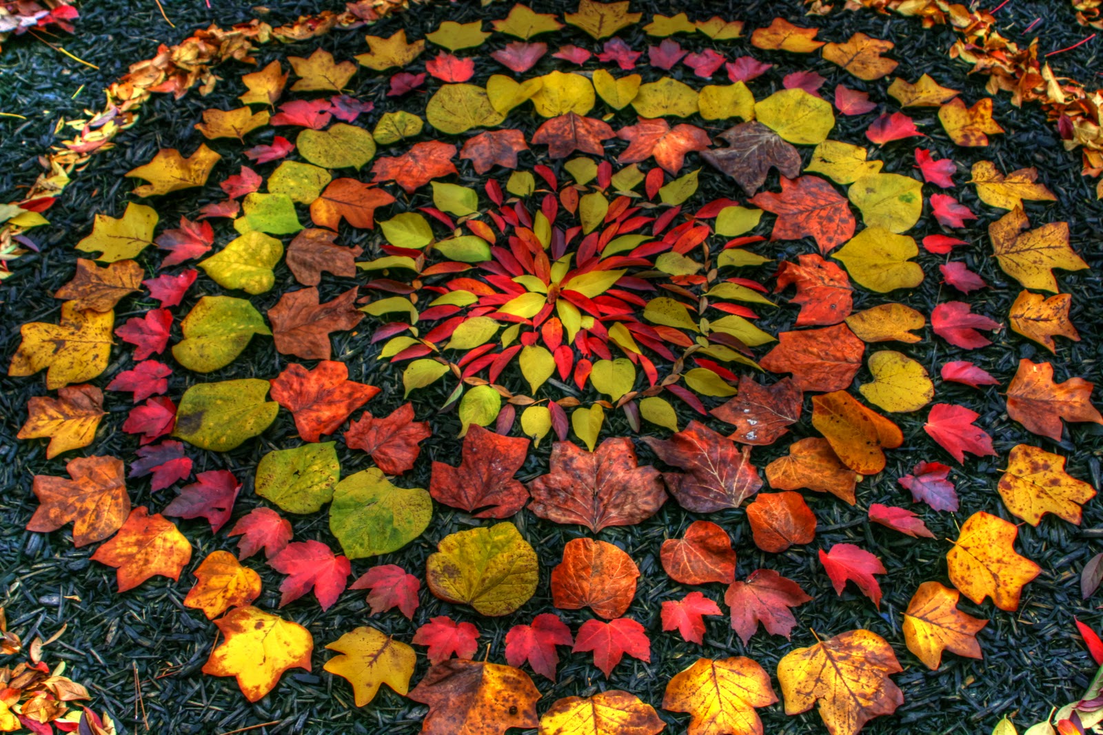 Natural sculptures by Andy Goldsworthy | USA Art News