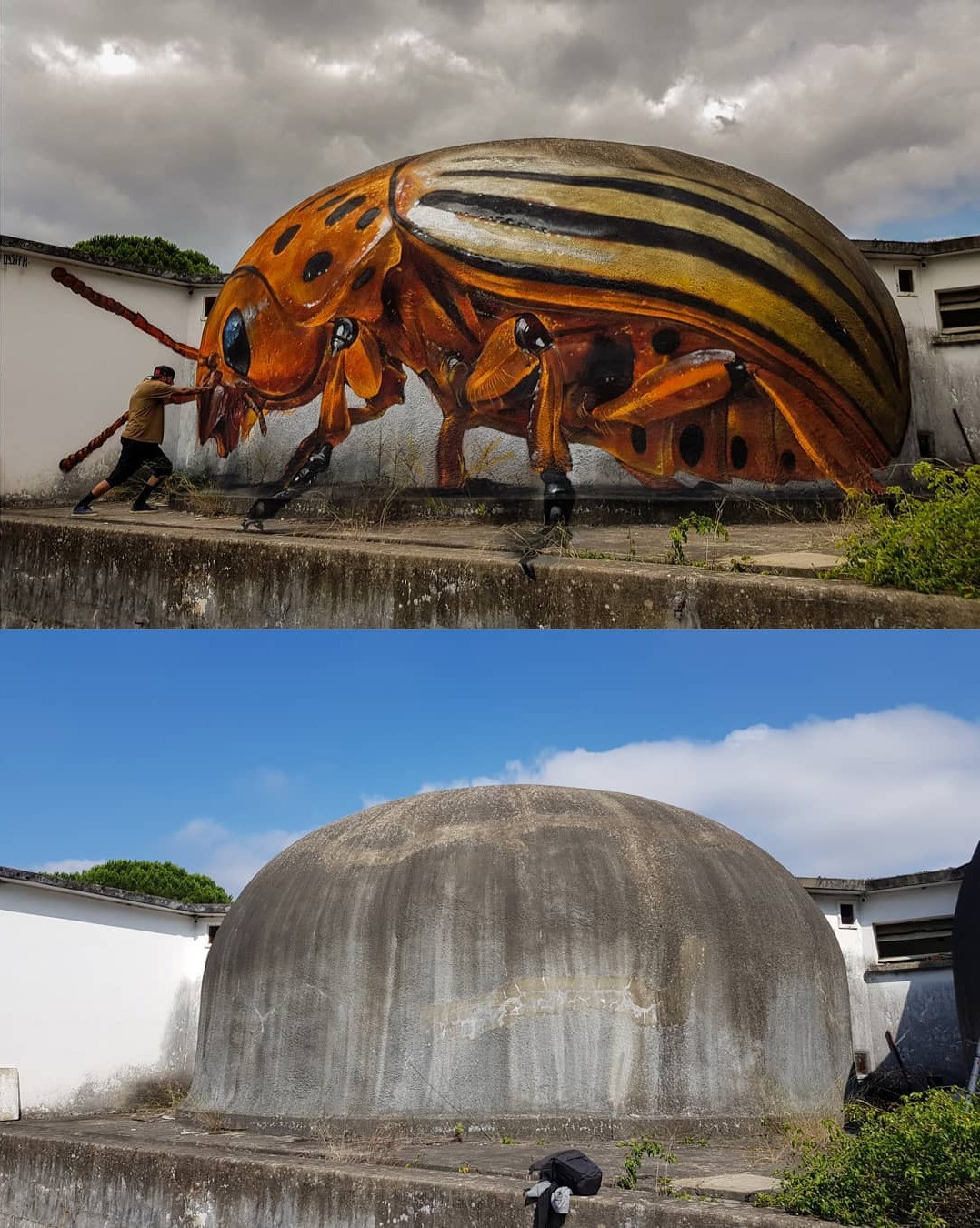 Larger-Than-Life Insects Lurk Around Abandoned Buildings in Street Art by Odeith